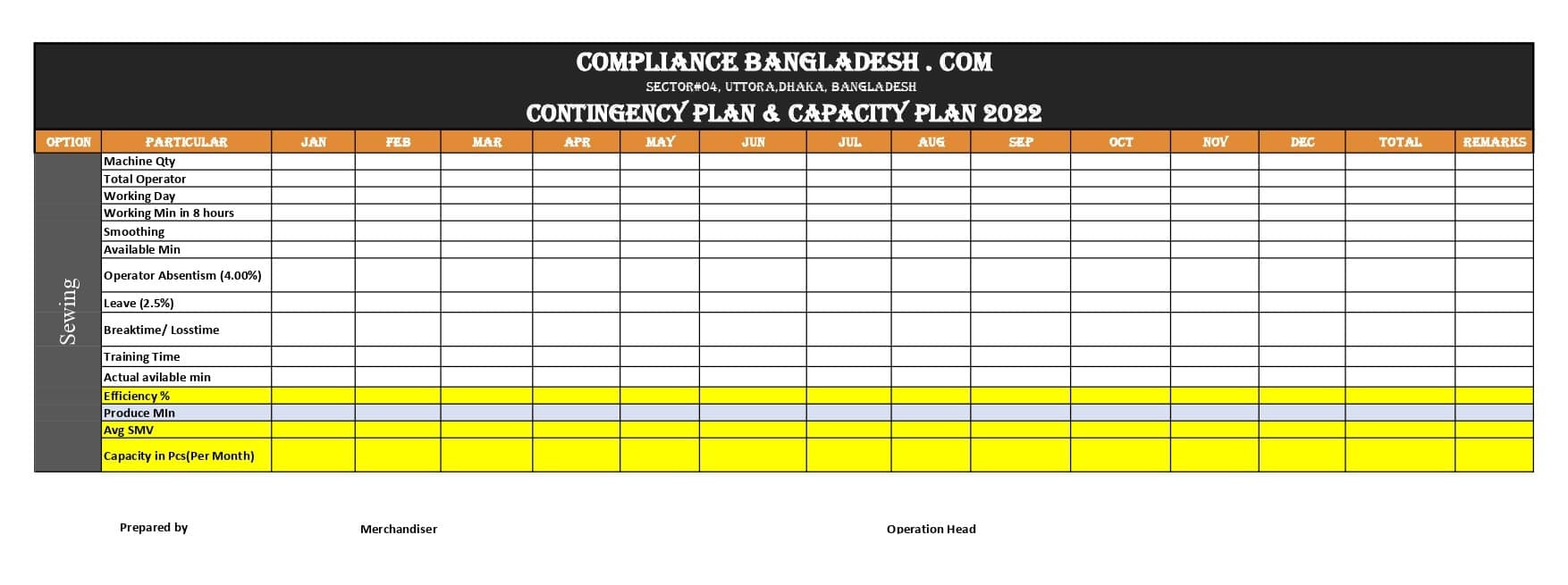 Capacity Plan Formate