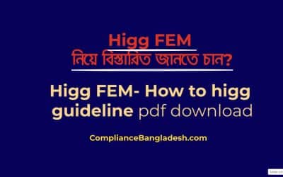 Higg FEM- How to higg guideline pdf download