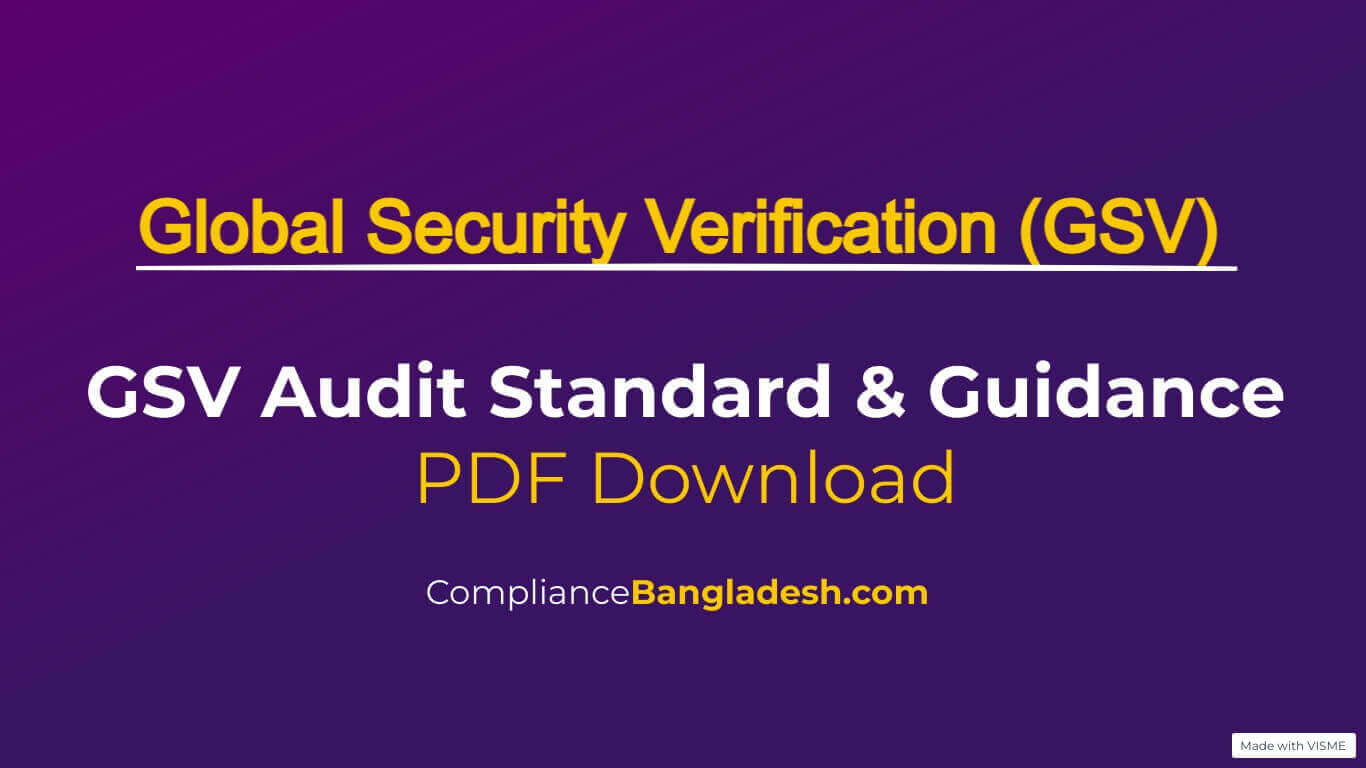 GSV Audit Standards and Guidance | PDF Download