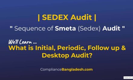 Sequence of Sedex Audit | Initial, Follow up & Desktop audit