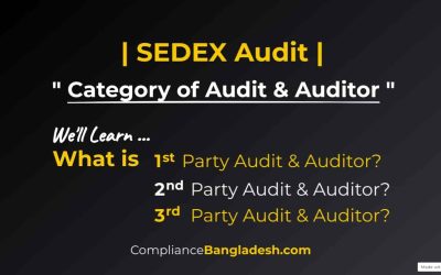 Category of Auditor | What is 1st, 2nd & 3rd Party Auditor?