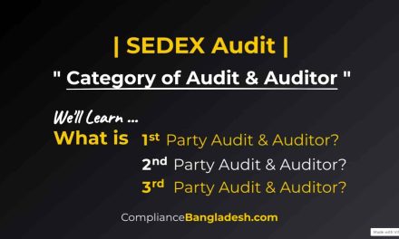 Category of Auditor | What is 1st, 2nd & 3rd Party Auditor?
