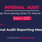Internal Audit Reporting Meeting Minutes | Post No 7